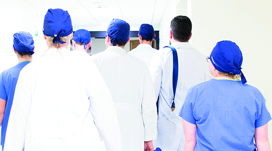 Catastro de Médicos Veterinarios disponibles ante emergencia COVID-19