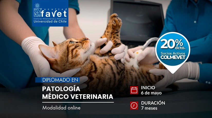 Diplomado en Patología Médico Veterinaria