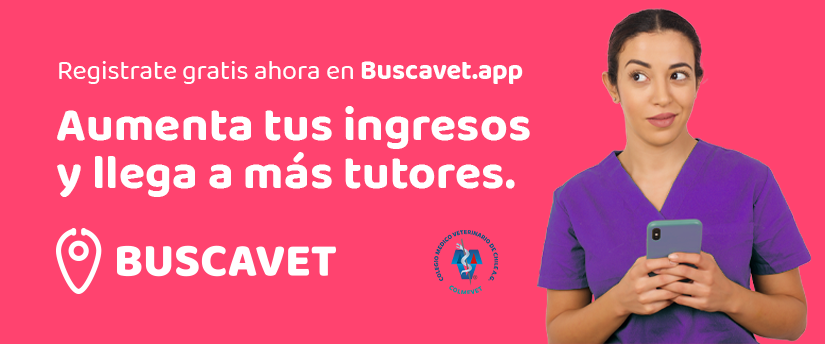 Buscavet: plataforma digital para médicos veterinarios
