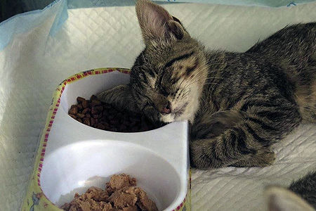 Continúan Trabajos Post-Emergencia luego del Incendio de Valparaíso