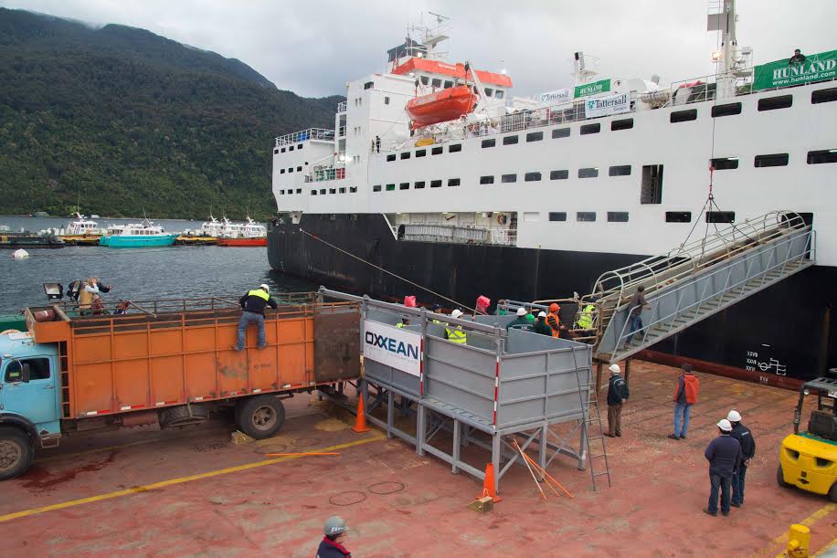 SAG Certifica Exportación de Siete Mil Cabezas de Ganado Rumbo a Turquía