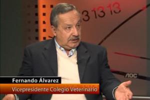 Vicepresidente del Colegio Médico Veterinario en Entrevista en Telenoche