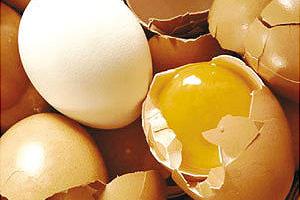 Relación entre Calidad de la Cáscara del Huevo y Seguridad del Producto