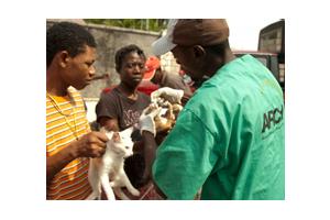 Coalición liderada por la WSPA concluye operaciones en Haití