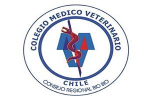 Citación: Asamblea Extraordinaria de Socios del Consejo Regional Bío Bío