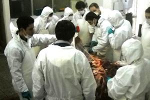 Profesionales del SAG se Capacitan en Tuberculosis Bovina en la UACh