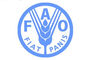 FAO Afirma que Erradicar Gripe Aviar Llevará una Década