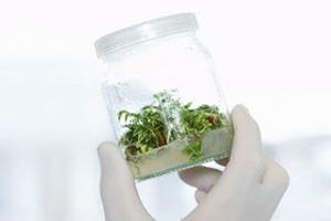 Charla: “Cambios Conductuales y Homeopatía”