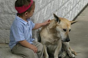 ¿Cómo Aprenden los Perros a Anticiparse a los Deseos de sus Dueños?