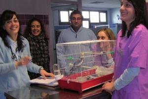 ¿Qué Queremos? ¿Qué Tenemos?