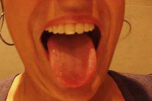 La Grasa  es el Sexto Sabor en la Lengua