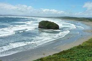 Comité Científico de Comisión Ballenera Internacional Cuestiona Proyecto Parque Eólico Chiloé