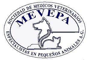 Actividad en Beneficio a la Dra. Evelyn Fieldhouse