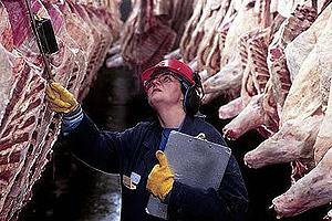 La EFSA Hace Público Primer Dictamen Sobre Inspección de Higiene en Cadena Cárnica