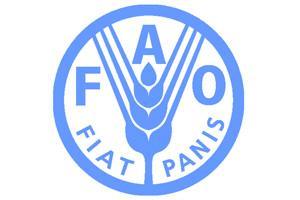  La Corrupción Mina el Acceso a la Tierra y el Desarrollo Según Estudio de la FAO