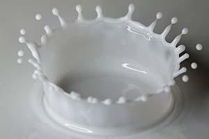 Productores de Leche Valoran Investigación de la FNE a Soprole y Nestlé