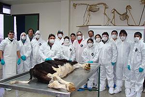 Programa de Capacitación y Apoyo al Proyecto de Control y Erradicación de Tuberculosis Bovina 