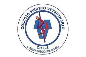 Asamblea General de Socios del Consejo Regional Bío Bío