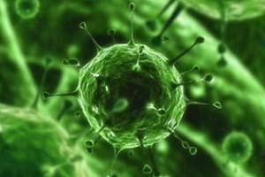 La OIE Solicita Información sobre el Virus Schmallenberg para evitar Repercusión en el Comercio Internacional 