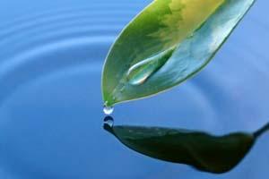 Las Principales Falencias de Chile en el Manejo del Agua