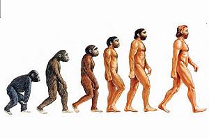 El Consumo de Carne fue Vital para la Evolución de la Especie Humana