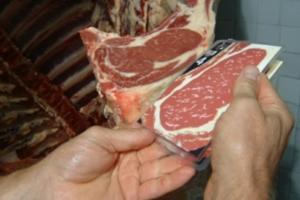 La Cuota 620 Ofrece la Oportunidad de Producir Carnes con Marmoreo