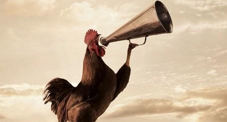 Los Genes y no la Luz Hacen Cantar a los Gallos Cuando Amanece