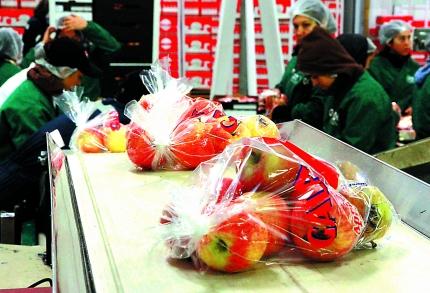 Gremios Piden Definiciones para Lograr la Meta “Chile Potencia Alimentaria”