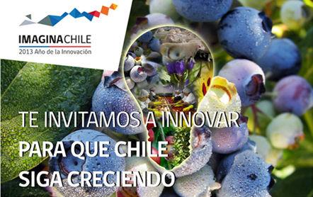 Convocatoria Nacional FIA 2013 – 2014 de Proyectos de Innovación