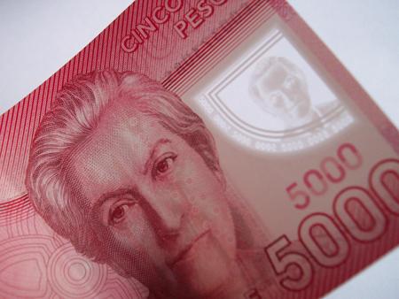 Sr. Ganadero: por $5.000 Anuales Puede Asegurar su Ganado Bovino