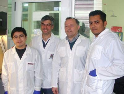 Crean Primera Prueba Diagnóstica para Desconocida Enfermedad en Gatos