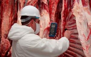 Desarrollan Estudio para Verificar la Vida Útil de la Carne de Vacuno Importada