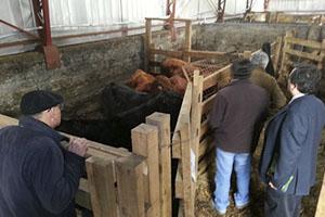 Inauguran CIA/CENEREMA en Aysén