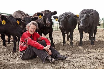 Realizarán Seminario Internacional “Abordando el Bienestar Animal con Temple Grandin