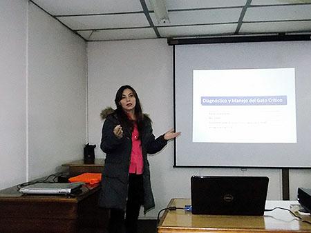 Iniciado Ciclo de Charlas Educación Continua en el Colegio Médico Veterinario 