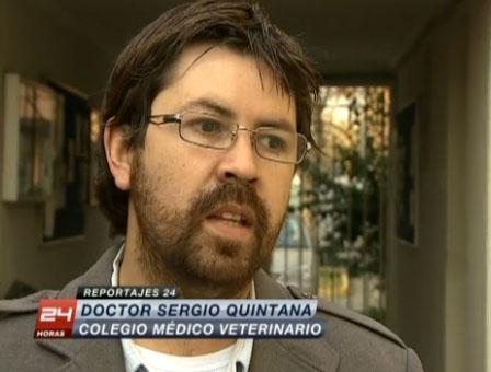 Revise el Reportaje sobre Mutilación Estética de los Perros