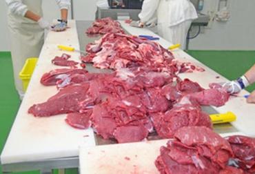 Cuatro Razones para Usar Iluminación LED en Establecimientos de Procesamiento de Carne