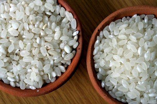 Mejores Perspectivas Agrícolas y Ganaderas para la Próxima Década, según la OCDE y la FAO