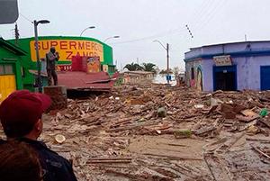Colegio Médico Veterinario será centro de acopio para ir en ayuda de animales damnificados en el Norte y Sur de Chile 