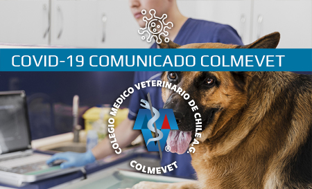 Colmevet refuerza el resguardo de la salud humana y animal definiendo los servicios esenciales y no esenciales, durante esta emergencia sanitaria