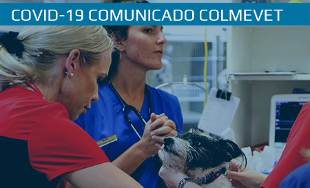 Habilitación de código para obtener Permiso Único Colectivo, para médicos veterinarios independientes y con inicio de actividades en SII