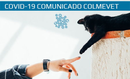 Comunicado: "Hasta la fecha no hay evidencia científica de que los animales de compañía sean una fuente de infección para las personas y otros animales"