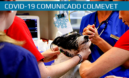 Comunicado aclaratorio en relación a los permisos de desplazamiento para médicos veterinarios