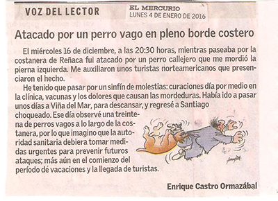 Atacado por un Perro Vago en Pleno Borde Costero