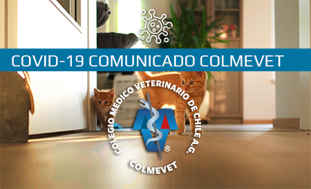 Colmevet lamenta titular de Publimetro que desinforma y genera alarma en la población