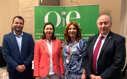 Representantes de mesa de trabajo intersectorial para el control de la resistencia bacteriana en pequeños animales se reúnen con representantes de OIE