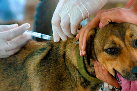 Satisfactoria reunión entre representantes de COLMEVET, la SUBDERE y del Ministerio del Interior