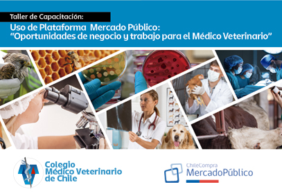 Taller de Capacitación en uso de Plataforma  Mercado Público