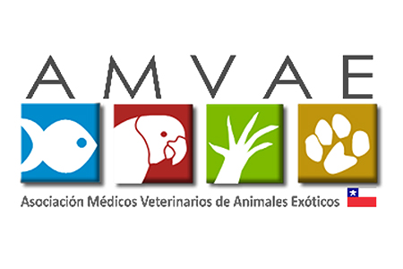 Comunicado AMVAE A La Sociedad  Respecto a la Promulgación de la Ley de Tenencia Responsable de Animales de Compañía