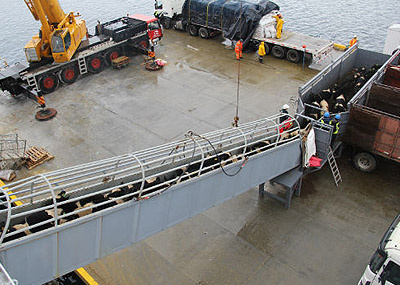 Simplifican Exportación de Productos Cárnicos sin Uso de Anabólicos al Mercado Chino